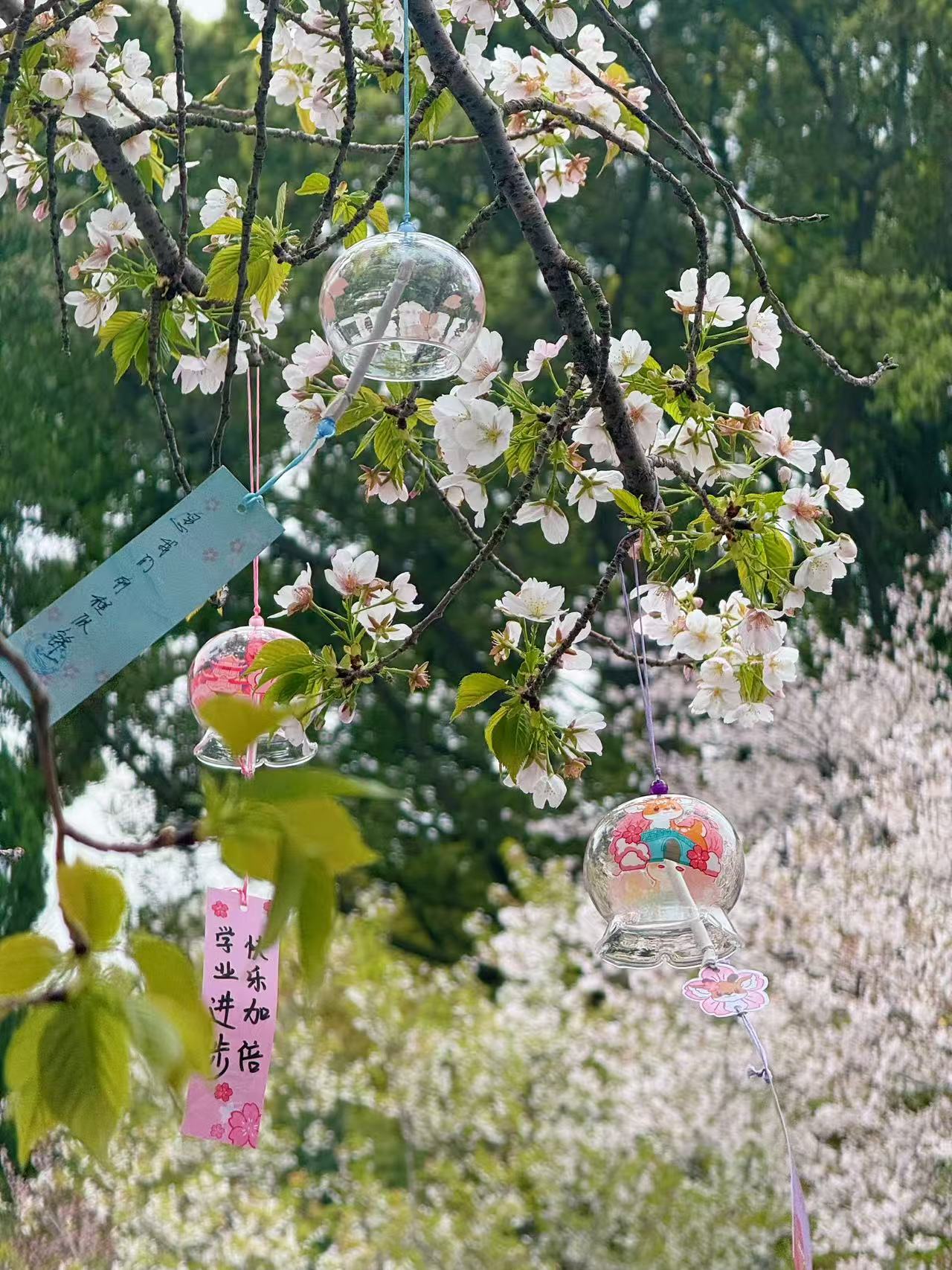 泰科检测科技